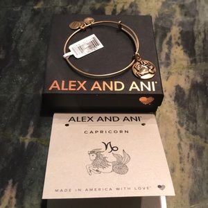 Alex and Ani Capricorn bracelet